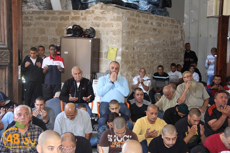 ra2ed fat7iya (5).JPG